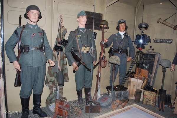 2009-11-08 WESTENDE Duinbergen (63)