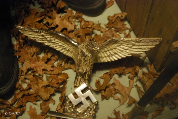 2009-11-08 WESTENDE Duinbergen (69)