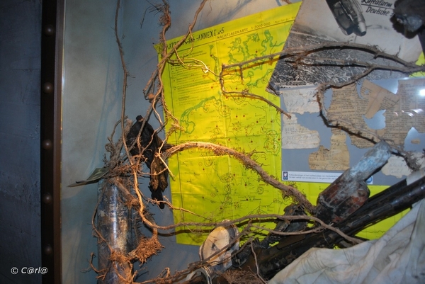 2009-11-08 WESTENDE Duinbergen (72)