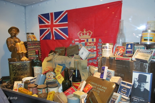 2009-11-08 WESTENDE Duinbergen (83)