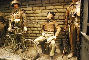 2009-11-08 WESTENDE Duinbergen (84)