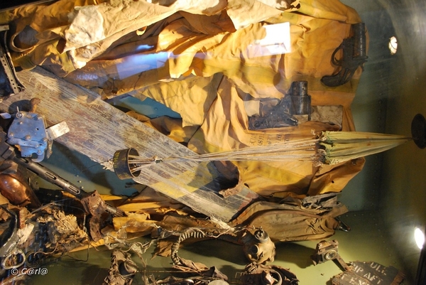 2009-11-08 WESTENDE Duinbergen (85)