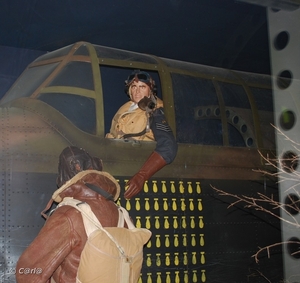 2009-11-08 WESTENDE Duinbergen (86)