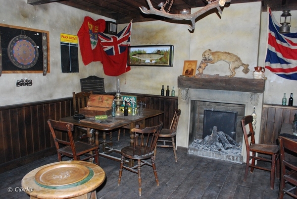 2009-11-08 WESTENDE Duinbergen (94)