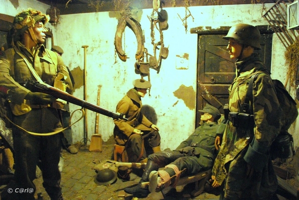 2009-11-08 WESTENDE Duinbergen (95)