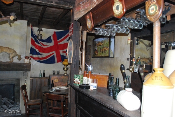 2009-11-08 WESTENDE Duinbergen (96)