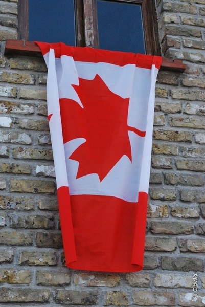 2009-11-08 WESTENDE Duinbergen (97)