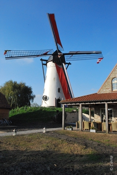 2009-11-08 WESTENDE Duinbergen (98)