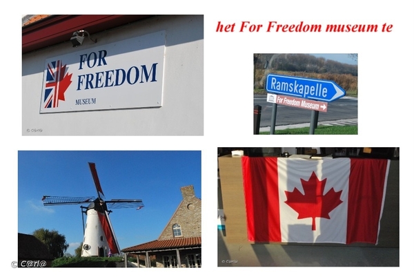 for freedom_8