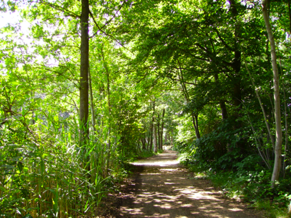 wandelweg