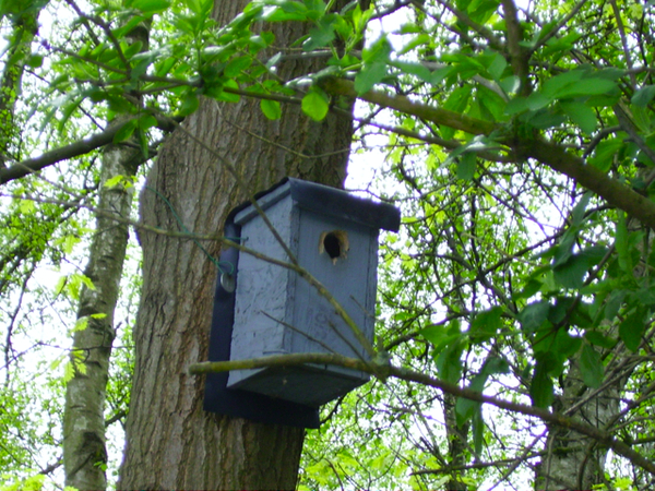 vogelhuisje