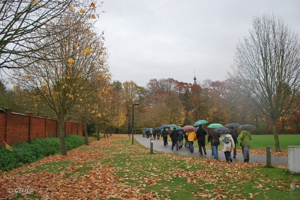 2009-11-03 Westerlo(12)