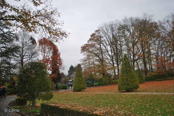 2009-11-03 Westerlo(14)