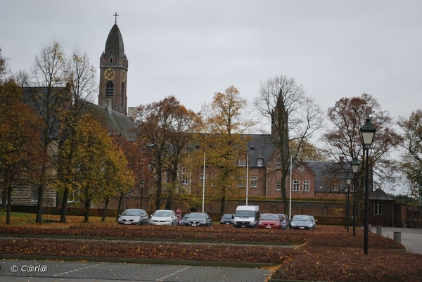 2009-11-03 Westerlo(2)