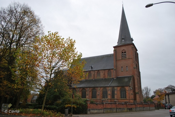 2009-11-03 Westerlo(24)