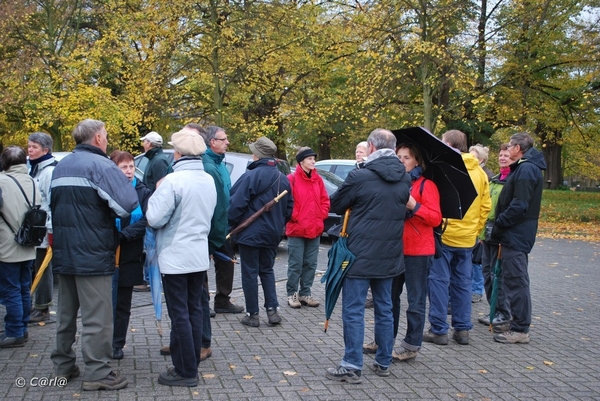 2009-11-03 Westerlo(3)