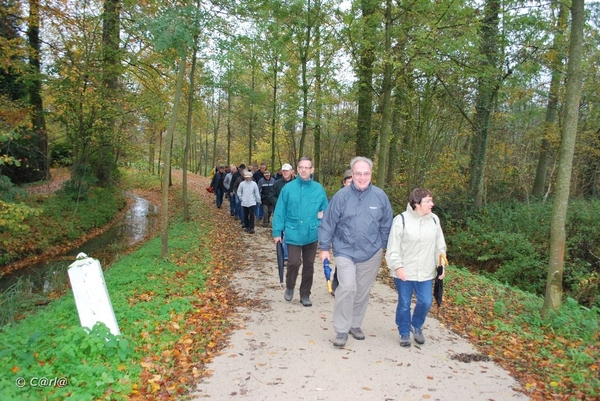 2009-11-03 Westerlo(38)