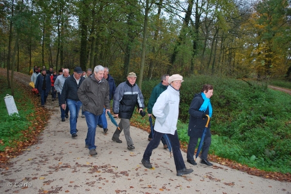 2009-11-03 Westerlo(39)