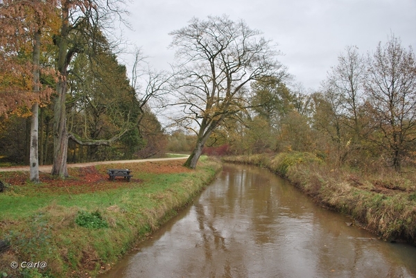 2009-11-03 Westerlo(44)