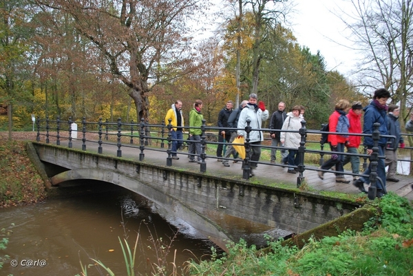 2009-11-03 Westerlo(46)