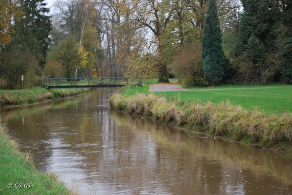 2009-11-03 Westerlo(52)