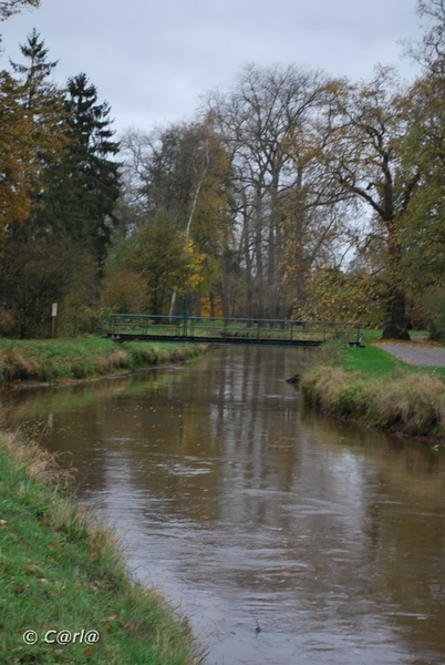2009-11-03 Westerlo(53)