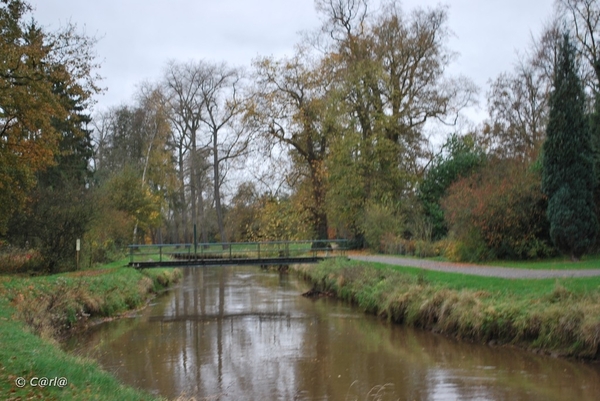 2009-11-03 Westerlo(54)
