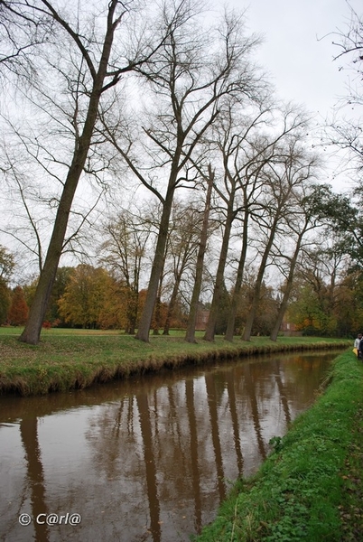 2009-11-03 Westerlo(56)