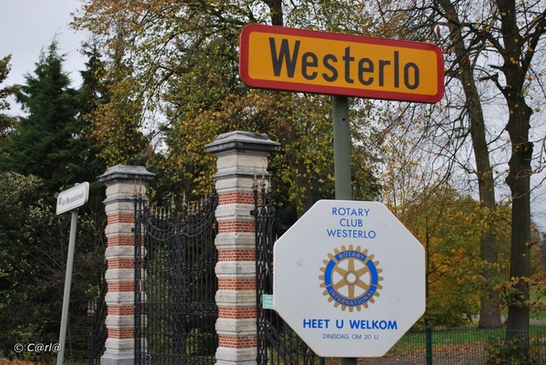 2009-11-03 Westerlo(61)