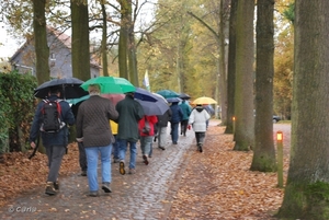 2009-11-03 Westerlo(7)