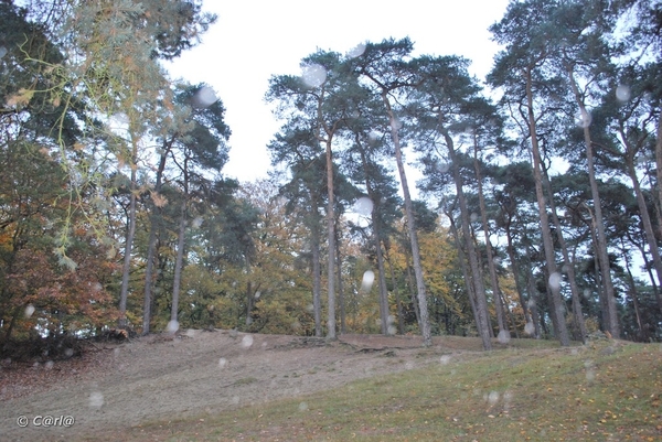 2009-11-03 Westerlo(71)