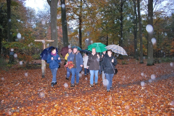 2009-11-03 Westerlo(73)