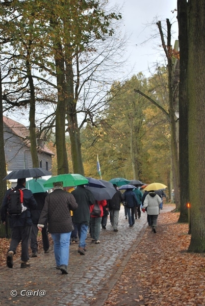 2009-11-03 Westerlo(8)