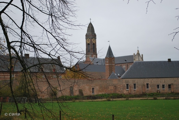 2009-11-03 Westerlo(87)