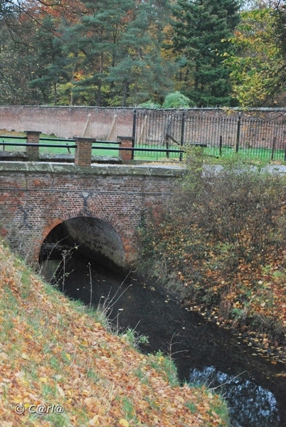 2009-11-03 Westerlo(88)