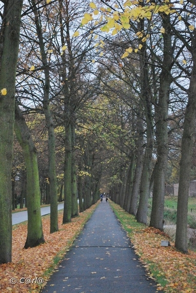 2009-11-03 Westerlo(89)