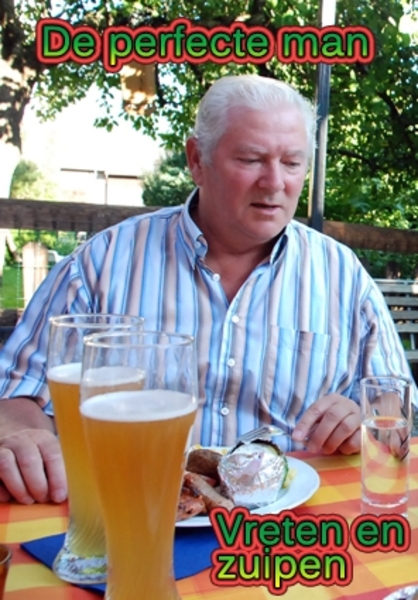 de perfecte man