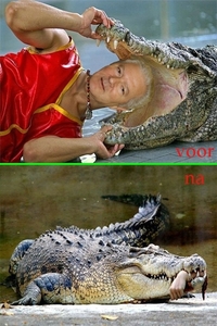 Krokodil G - voor en na