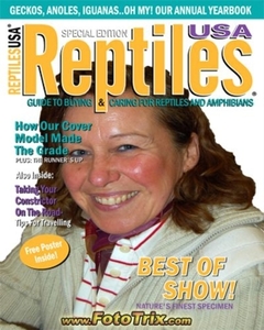 Viv reptiles cover