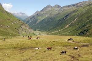 084 Silvretta see