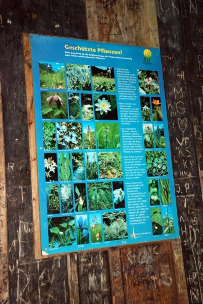 396 Dornnbirn Rappenloch schlucht