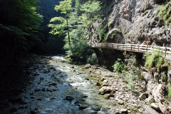 400 Dornnbirn Rappenloch schlucht