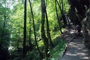 420 Dornnbirn Rappenloch schlucht