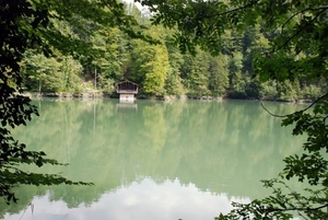 425 Dornnbirn Rappenloch schlucht