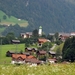 499  St Gallenkirch