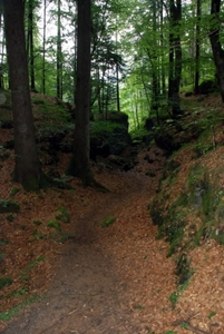 548 Bürser schlucht