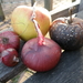 appels en uien
