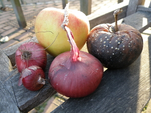 appels en uien