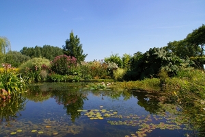 IMGP1328