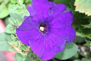 20090925_9